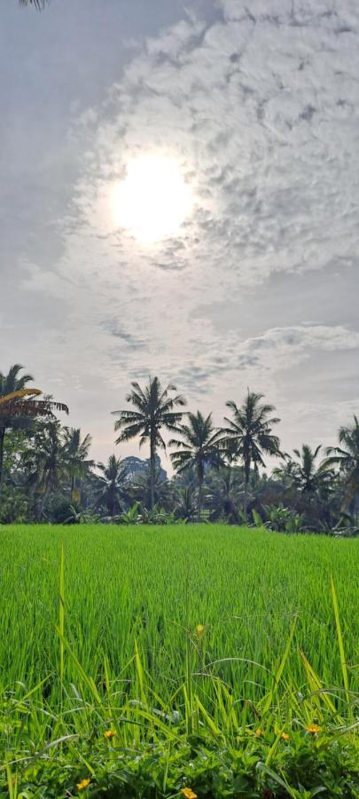 Galang Hari Villa Ubud Zewnętrze zdjęcie