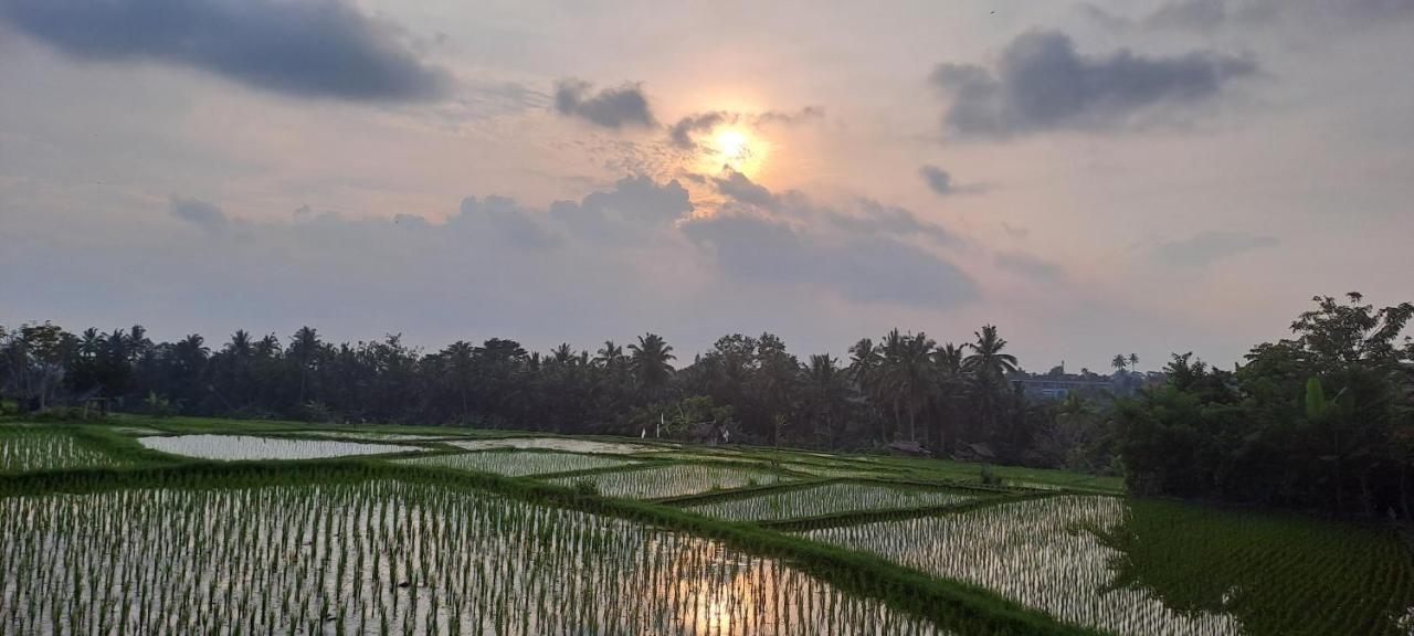 Galang Hari Villa Ubud Zewnętrze zdjęcie