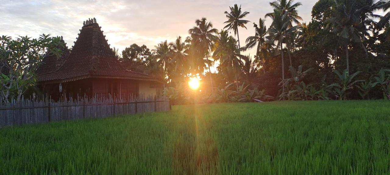 Galang Hari Villa Ubud Zewnętrze zdjęcie