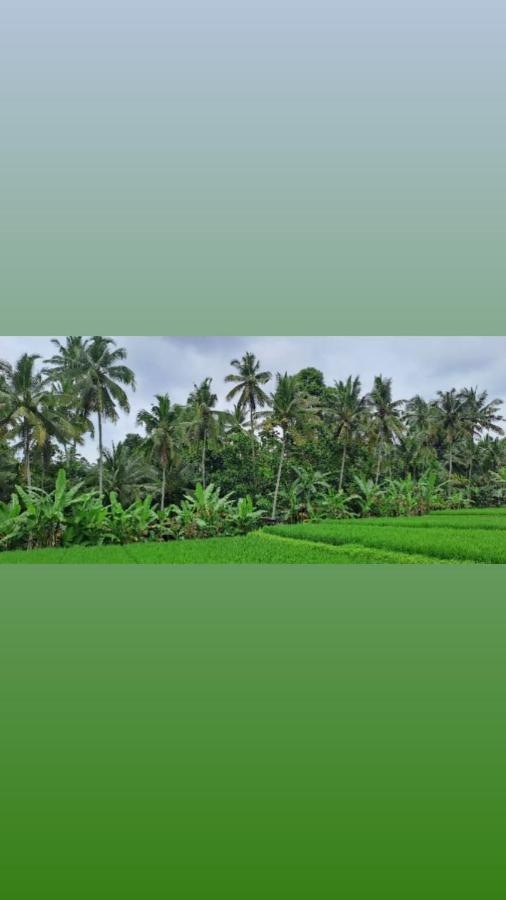 Galang Hari Villa Ubud Zewnętrze zdjęcie