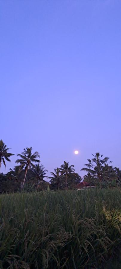 Galang Hari Villa Ubud Zewnętrze zdjęcie