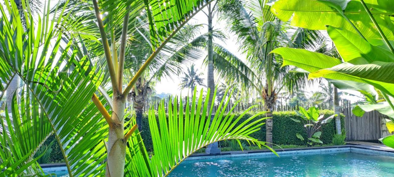 Galang Hari Villa Ubud Zewnętrze zdjęcie