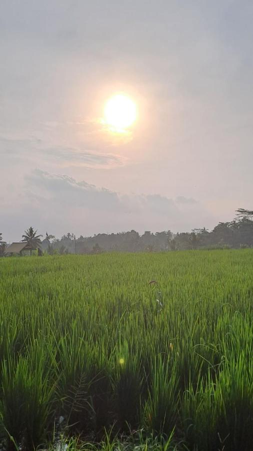 Galang Hari Villa Ubud Zewnętrze zdjęcie