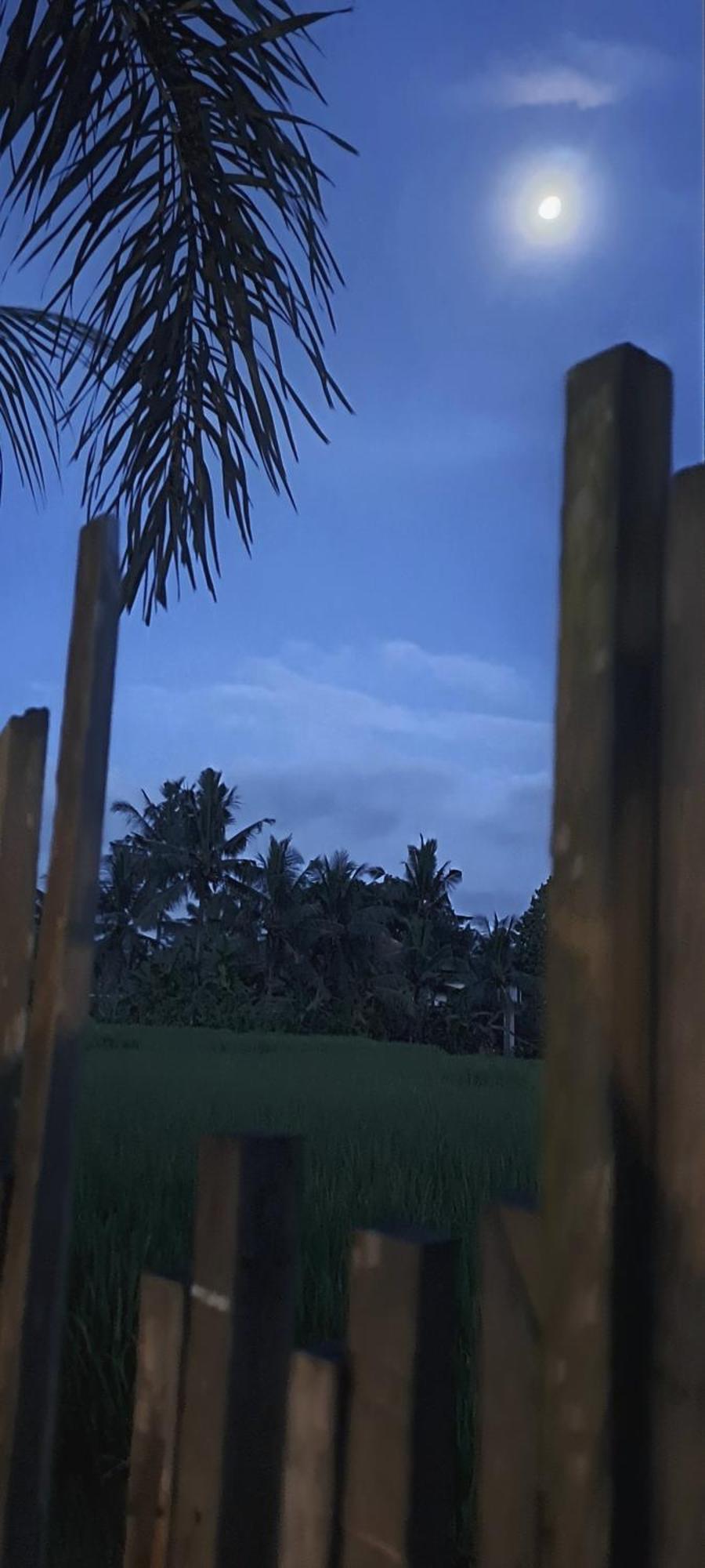 Galang Hari Villa Ubud Zewnętrze zdjęcie