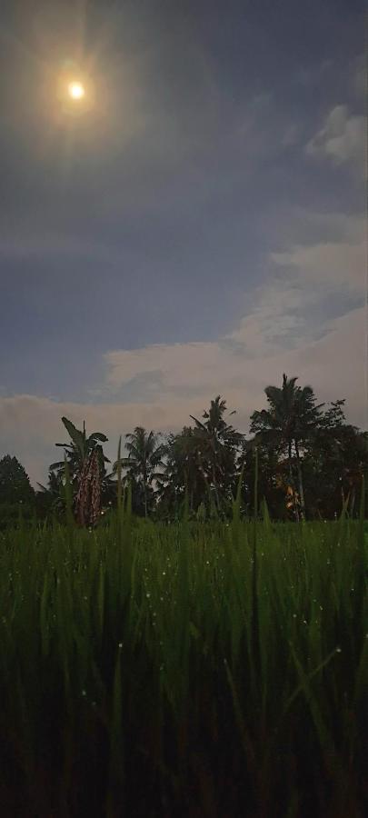 Galang Hari Villa Ubud Zewnętrze zdjęcie