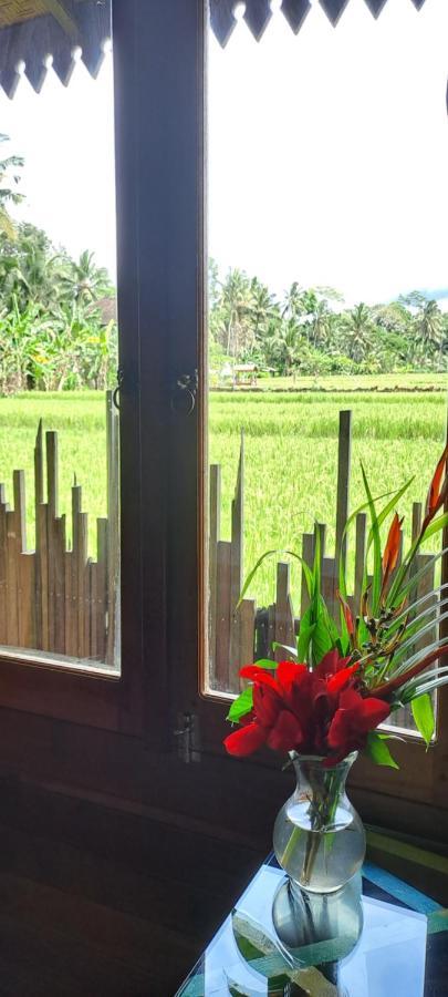 Galang Hari Villa Ubud Zewnętrze zdjęcie