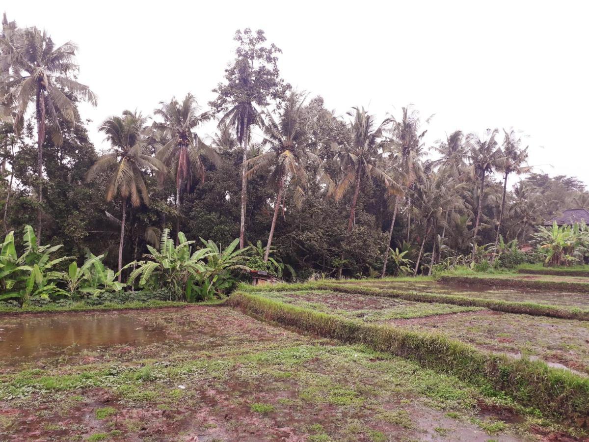 Galang Hari Villa Ubud Zewnętrze zdjęcie